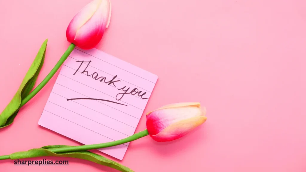 Thank You Messages For Mother In Law! (How To Answer?) 2 Thank You Messages For Mother In Law